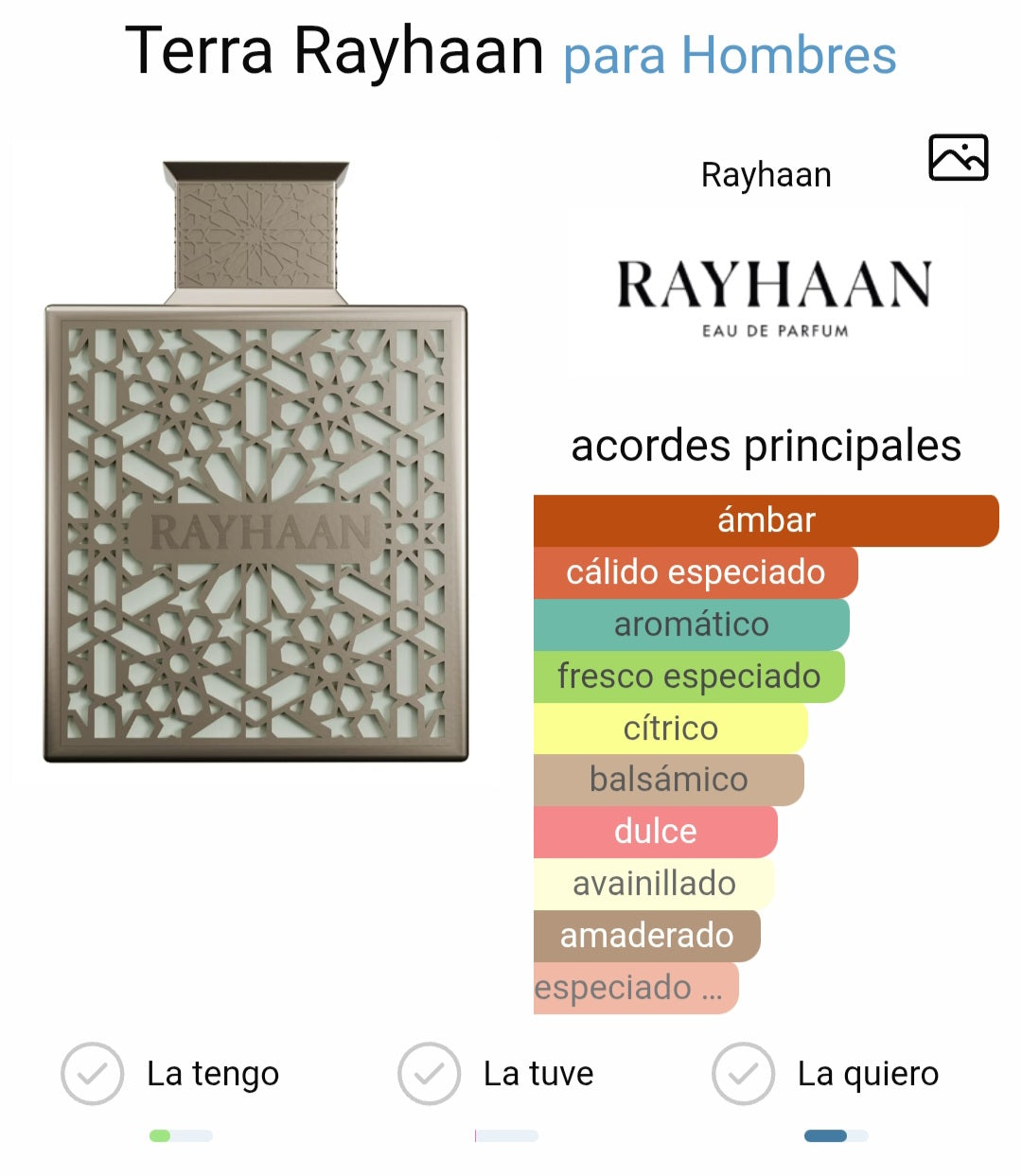 Rayhaan Terra 100ml EDP